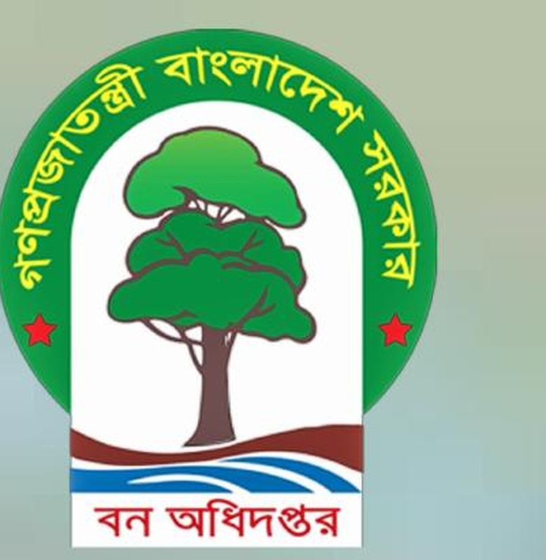 বন অধিদপ্তর