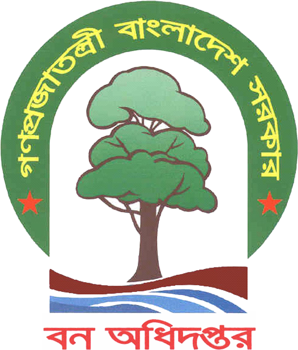 বন অধিদপ্তর